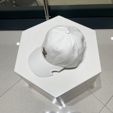 Louis Vuitton Caps